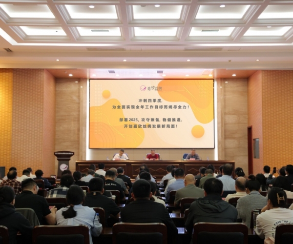 tyc41183太阳成集团丝绸2024年三季度经济形势剖析会顺遂召开